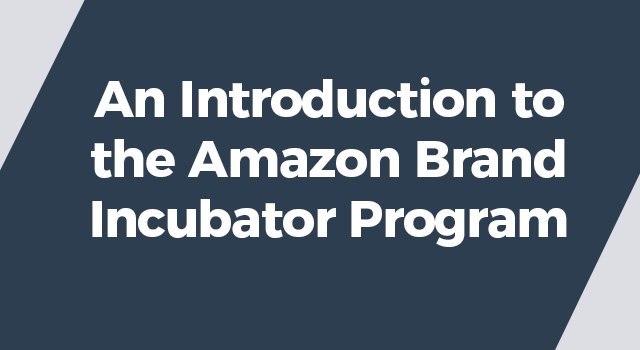 Gray background with text, "An Introduction to the Amazon Brand Incubator Program"