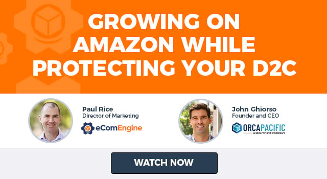 Photos of the presenting experts with text, “Growing on Amazon While Protecting Your D2C"