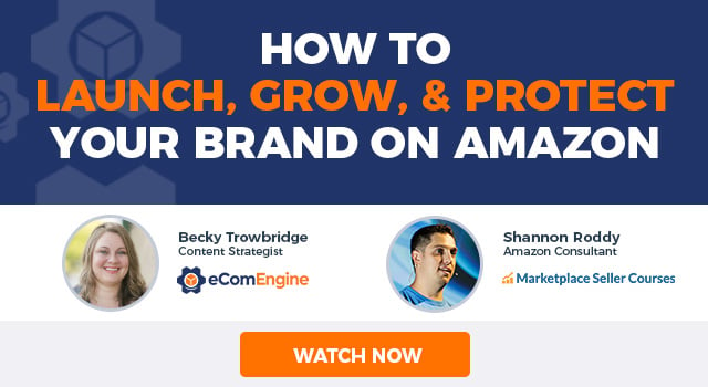 Photos of the presenting experts with text, “How to Launch, Grow, and Protect Your Brand on Amazon"